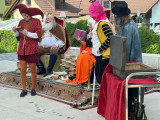 pasovani5.jpg